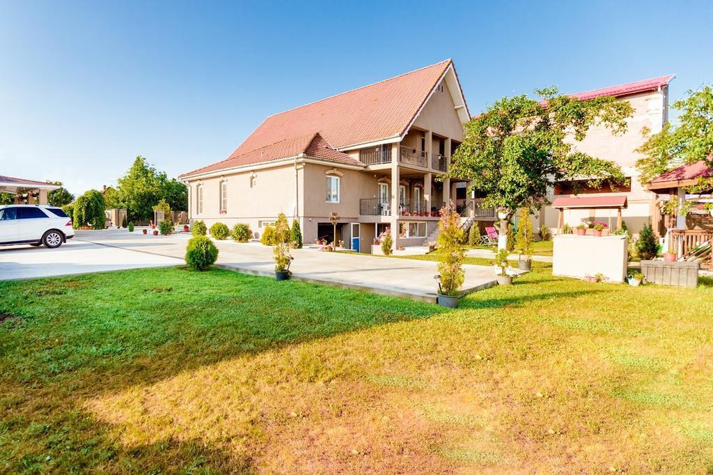 Hotel Casa Iulia Haţeg Exterior foto